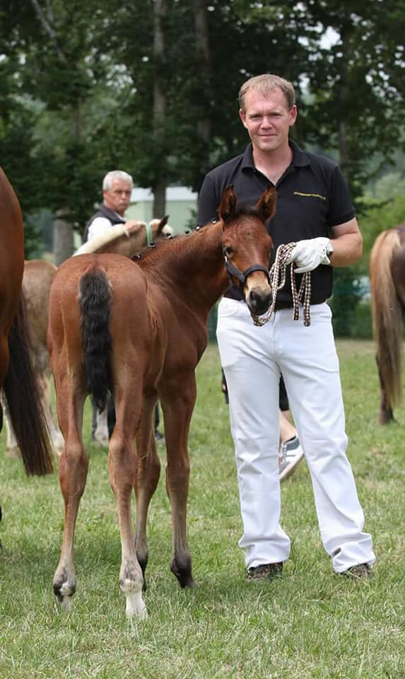 19399974_465199567168143_6396851091389434625_n