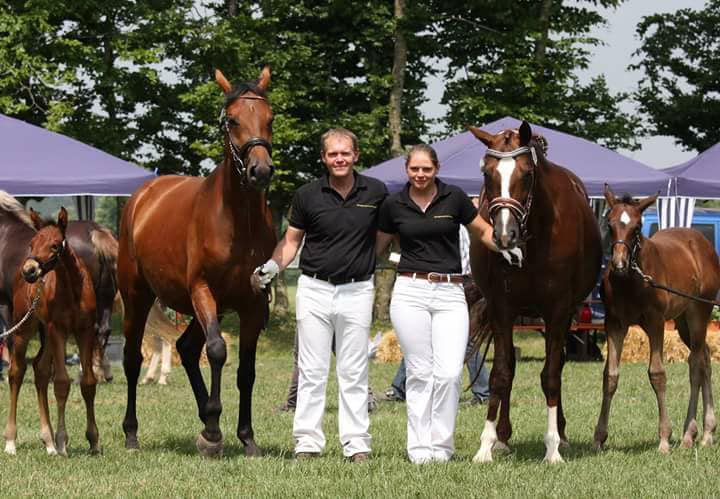 19553883_465199537168146_8370819230086081670_n