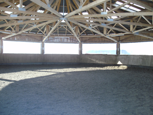 20110123-1351BILD0063-1