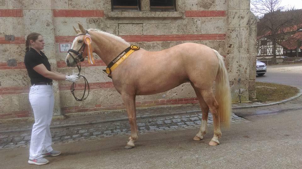 29133339_587236811631084_5711283575614078976_n