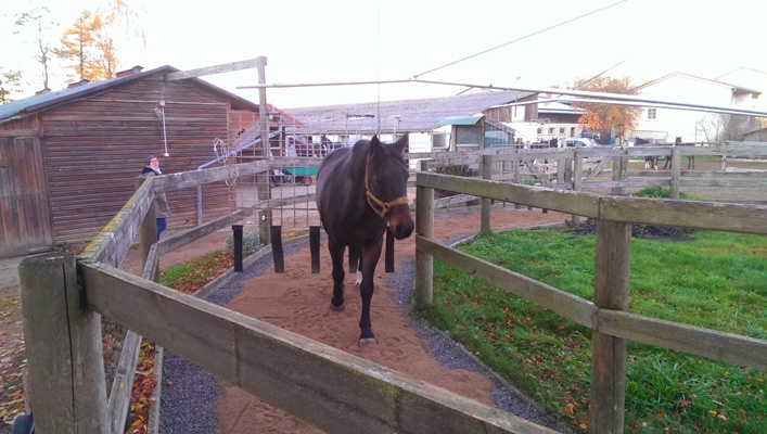 Führanlage1 Führanlage1