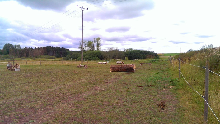 Geländereitplatz-2 Geländereitplatz-2