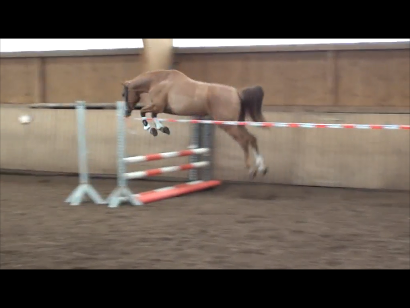 Momentaufnahme 1 (31.07.2012 22-41)