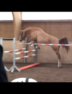 Momentaufnahme 2 (31.07.2012 22-42)