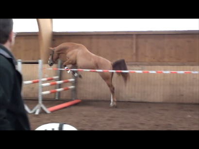 Momentaufnahme 2 (31.07.2012 22-42)2